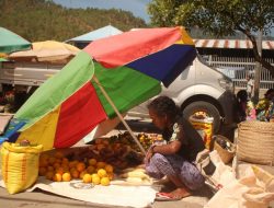 Ema La Sosa Produtu, To’o Dodok Iha Merkadu, Margarida Fila Uma Ho Bolsu Mamuk