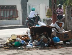 Menus Konsiensia, Lixu Nakonu Iha CCD Oin