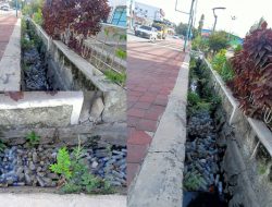 Ema Balun “Moe La Iha” Nafatin So’e Fo’er Arbiru