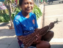 Falla Ekonomia La Kontinua Estudu, Oan Kiak Agusta Halo De’it Negósiu