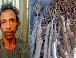 Esforsu An Responde Ba Nesesidade Uma Laran, Nu’udar Aman La Sura Kolen