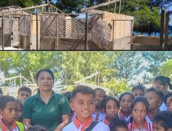 Ai-huun Sai Fatin Aprendizajen, Eskola Rua Iha Bikeli Husu Tulun Ba Horta