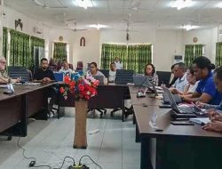 INSPTL-PHD Briefing Implementadór Sira Oinsa Atu Suporta Sistema Saúde