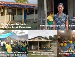 Fatin La Seguru, Emilia Husu Ministériu Edukasaun Apoiu “Urjente” Ba EBF Zulo Taz