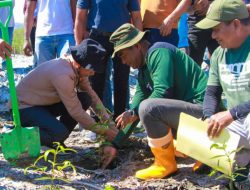 SEF Prioridade Dezenvolve Ai-Parapa Iha Area Kosteiru