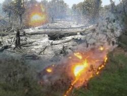 SEF “Bandu” Timor Oan Estraga Ai-Horis No Balada Fuik