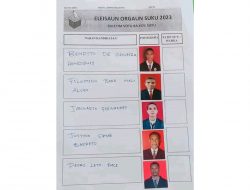 João Preokupa Boletín Eleisaun Suku Hakerek De’it Ho Lapizeira