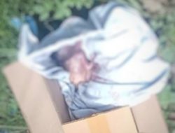 Kazu Soe Bebe Iha Taibessi, ANCI-TL: Kriminaliza mós Mane