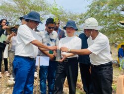 SEF kuda Ai-Kameli 2,000 resin hodi Komemora Loron Nasionál Sandalu