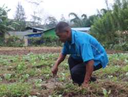 Grupu FJDE Presiza Apoiu Governu, MSSI: Sira Rezista Ona Ka Lae
