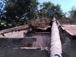 APC Rejistu tan Xefe Família Hamutuk 36 Vítima ba Dezastre Naturais