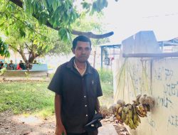 Nesesidade Moris Obriga Francisco Buka Moris Liuhosi Aileba Hahú Iha Tinan 2000 To’o Agora