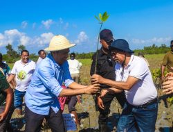 Loron Mundiál Ai-Parapa ba Dála-II “SEF” Kuda Ai-Parapa Oan Rihun-rua Iha Munisipiu Viqueque
