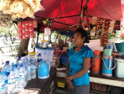 Hakarak Halo Negosiu Inan Faluk Arminda Kreditu Osan Iha Banku Moris Rasik