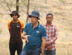 SEF Hetan Apoiu Oraamentu Husi AFOCO Kontinua Atividade Reflorestasaun