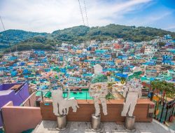 Painting Peace Timor-Leste Beautified By The HWPL Public Peace Art Painting