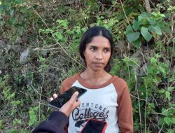 Joven Selagua ho Inisitiva Harii Grupu Kuda Tomate