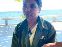 Dircelita Haforsa Ekonomia Família Husi Negósiu Dalan Ninin