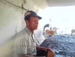 “Luta iha Sidade, Moris Ho Dignidade no Esperansa Ba Oan Nia Futuru ”