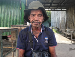 Husi foho ba sidade Moris Mesak: Istoria Marcelino fa’an malus no sobrevive iha Dilí