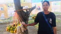 Luta ba Moris Teresa de Jesus Leba Aifuan Haleu Sidade Dili