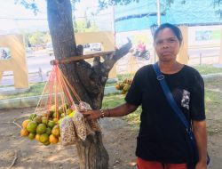 Luta ba Moris Teresa de Jesus Leba Aifuan Haleu Sidade Dili